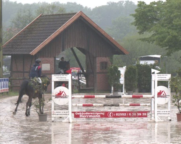 Reitturnier Nienberge 2025