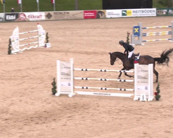Internationales Springturnier Stadl-Paura 2025