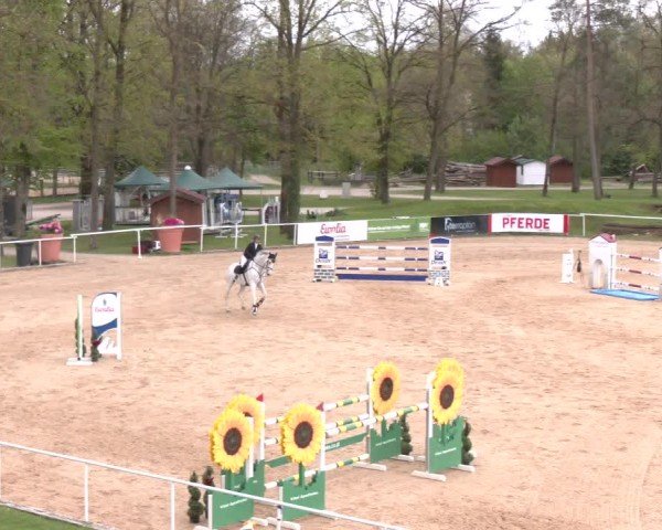 Internationales Springturnier Stadl-Paura 2025