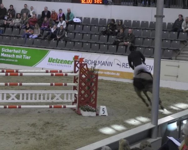 VER-Dinale 2014