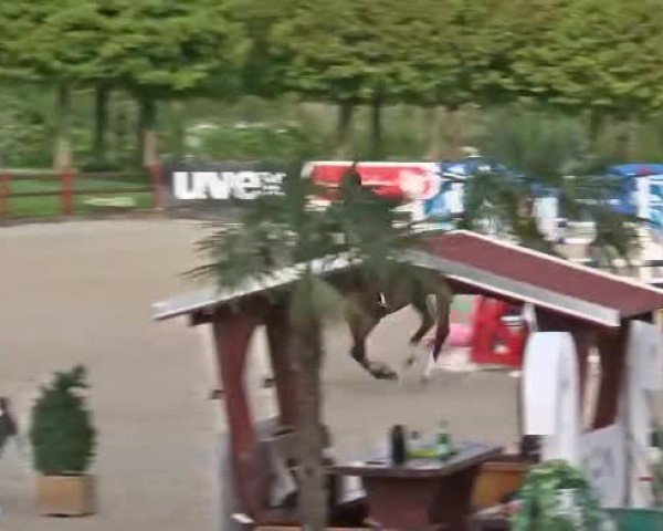 Reitturnier Ehlersdorf 2025