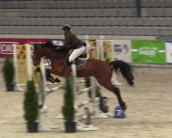 Reitturnier Aachen 2025
