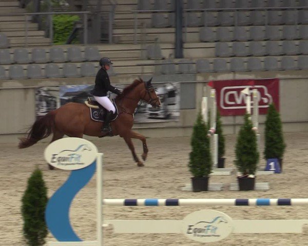 Reitturnier Aachen 2025