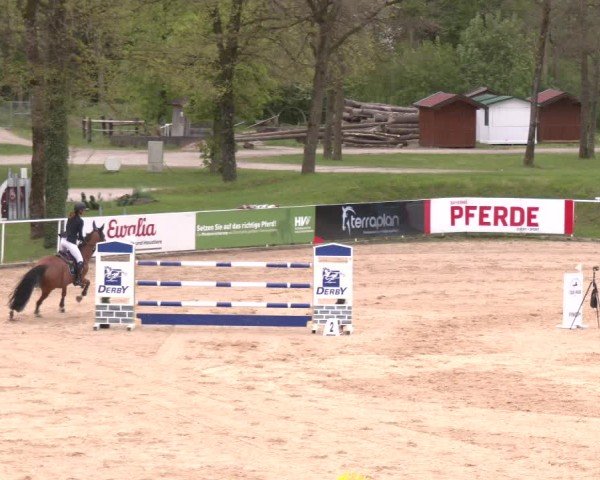 Internationales Springturnier Stadl-Paura 2025
