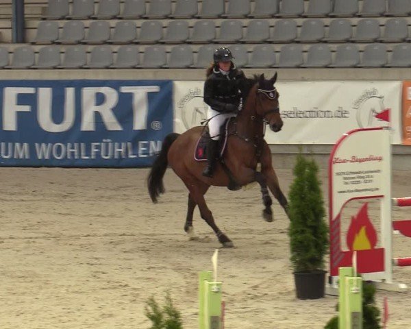 Reitturnier Aachen 2025