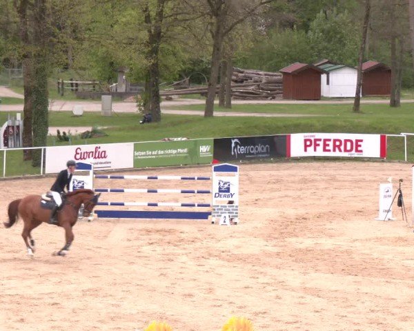 Internationales Springturnier Stadl-Paura 2025