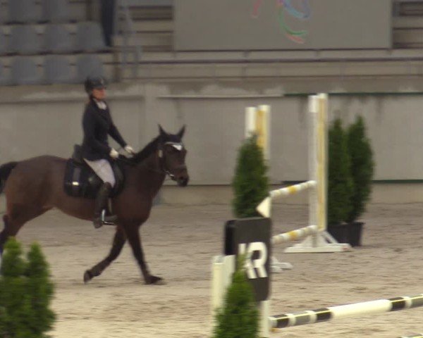 Reitturnier Aachen 2025