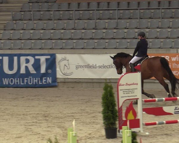 Reitturnier Aachen 2025