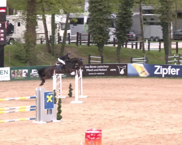 Internationales Springturnier Stadl-Paura 2025