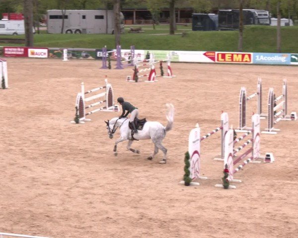 Internationales Springturnier Stadl-Paura 2025