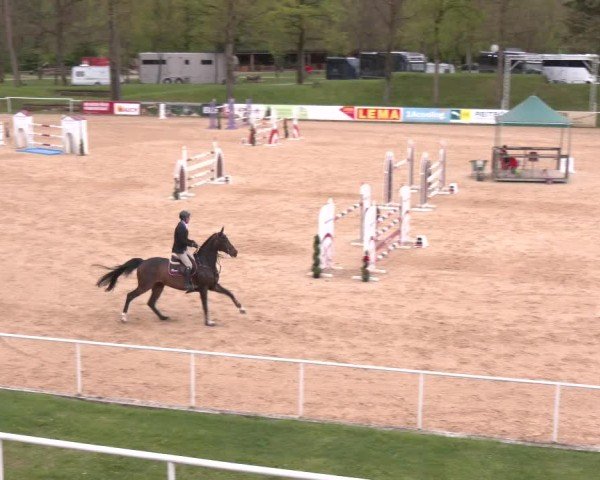 Internationales Springturnier Stadl-Paura 2025