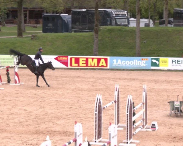 Internationales Springturnier Stadl-Paura 2025
