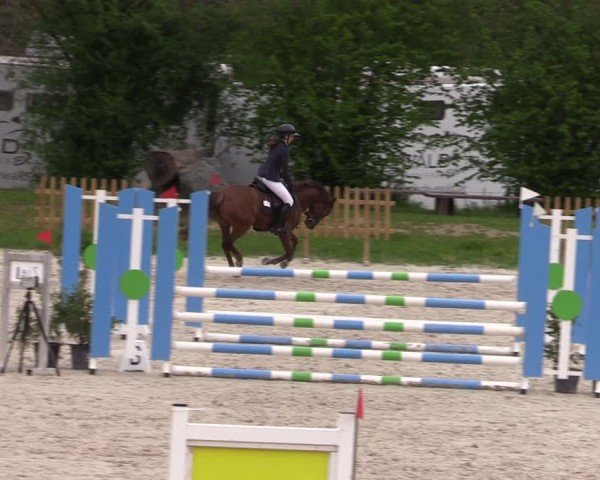 Reitturnier Pietzpuhl 2025