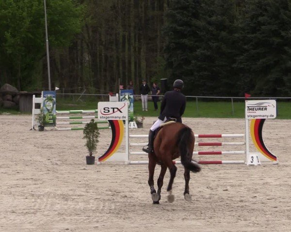 Reitturnier Pietzpuhl 2025