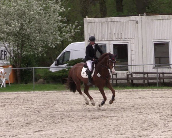 Reitturnier Pietzpuhl 2025