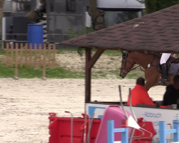 Reitturnier Pietzpuhl 2025