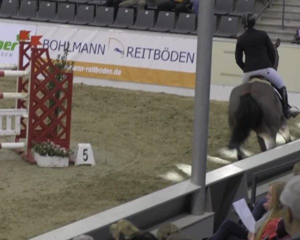 VER-Dinale 2014