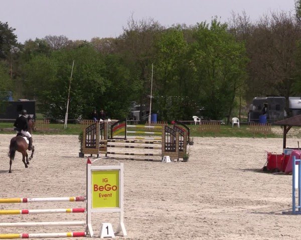 Reitturnier Pietzpuhl 2025