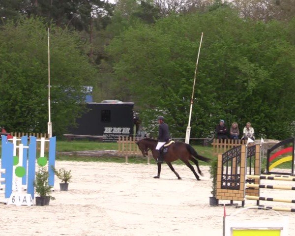Reitturnier Pietzpuhl 2025