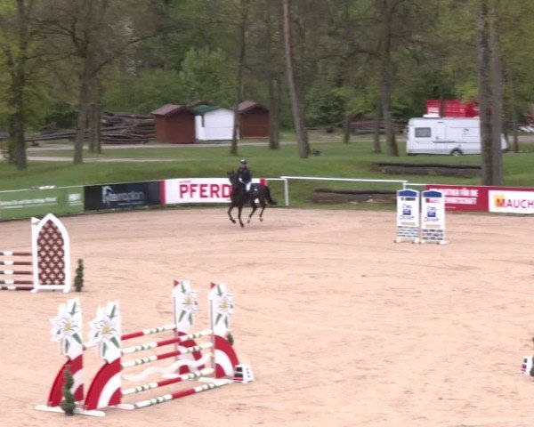 Internationales Springturnier Stadl-Paura 2025