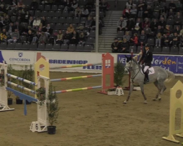 VER-Dinale 2014