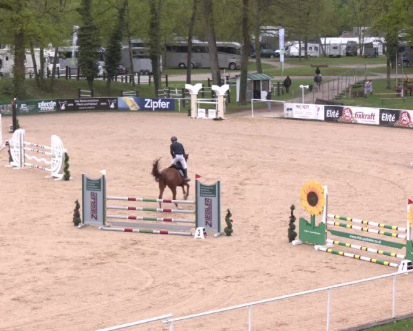 Internationales Springturnier Stadl-Paura 2025