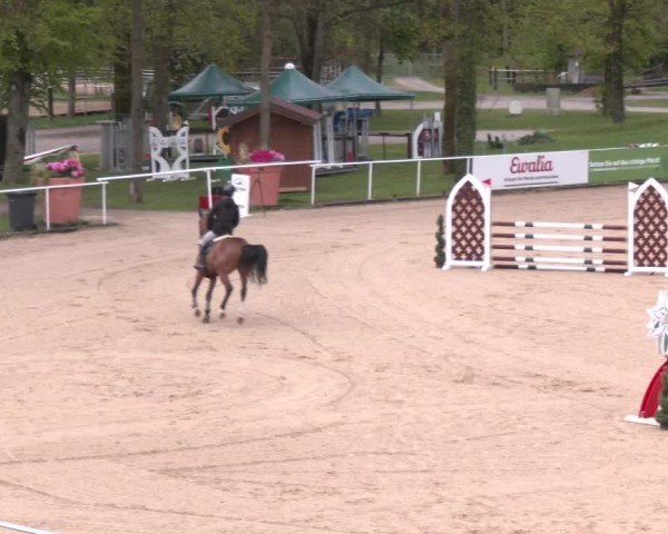Internationales Springturnier Stadl-Paura 2025