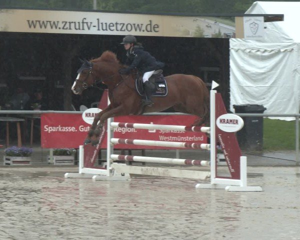 Reitturnier Olfen 2025