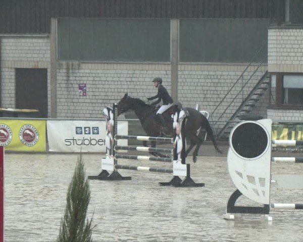 Reitturnier Olfen 2025