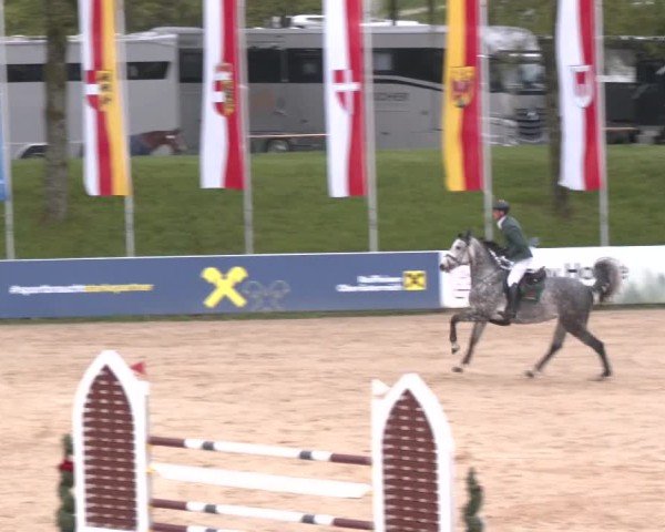 Internationales Springturnier Stadl-Paura 2025