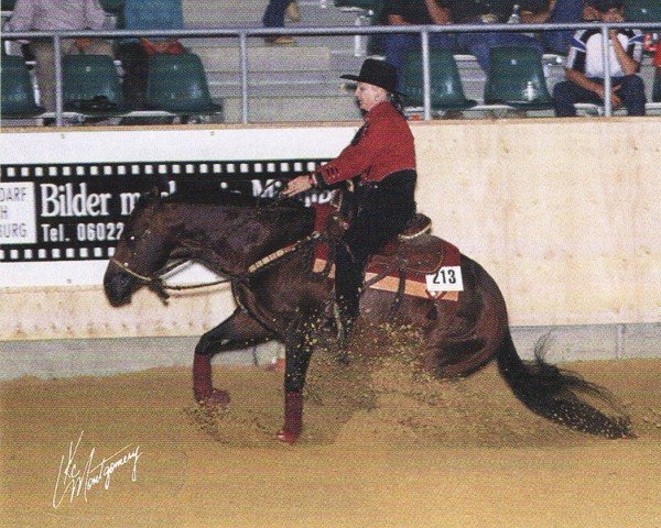 Koń Crown Royal Rey (Quarter Horse, 1993, od Crown Royal King)