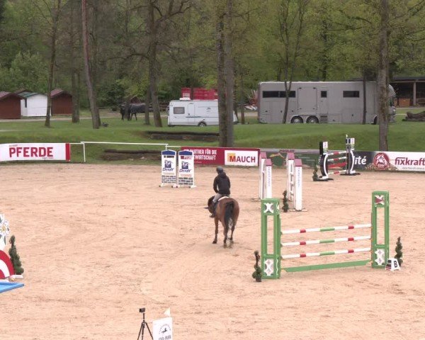 Internationales Springturnier Stadl-Paura 2025