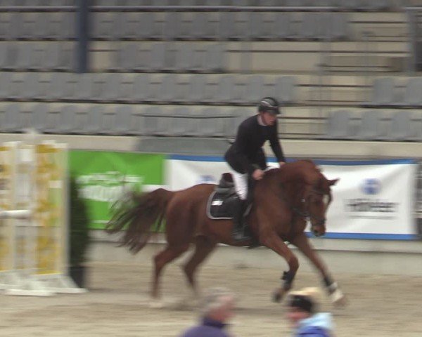 Reitturnier Aachen 2025