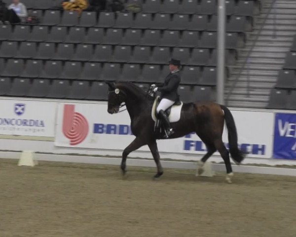 VER-Dinale 2014