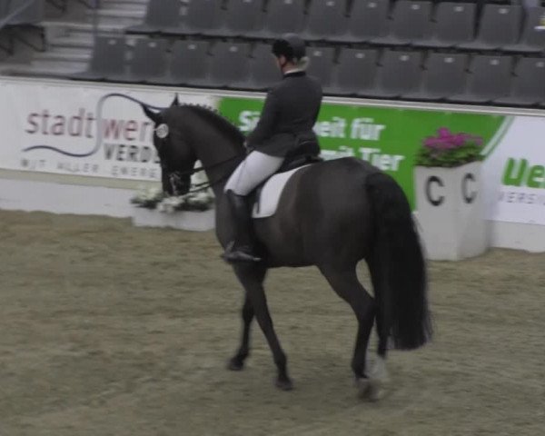 VER-Dinale 2014