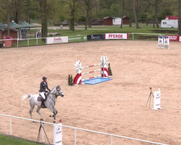 Internationales Springturnier Stadl-Paura 2025