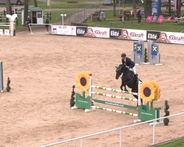 Internationales Springturnier Stadl-Paura 2025