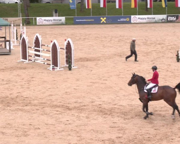 Internationales Springturnier Stadl-Paura 2025