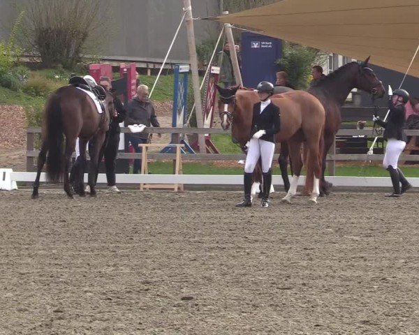 Reitturnier Kleinsolter Turniertage 2025