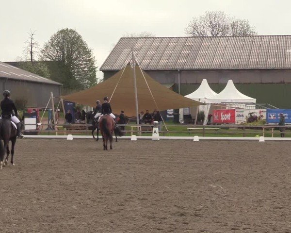 Reitturnier Kleinsolter Turniertage 2025
