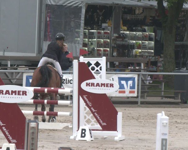 Reitturnier Olfen 2025