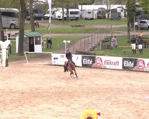 Internationales Springturnier Stadl-Paura 2025