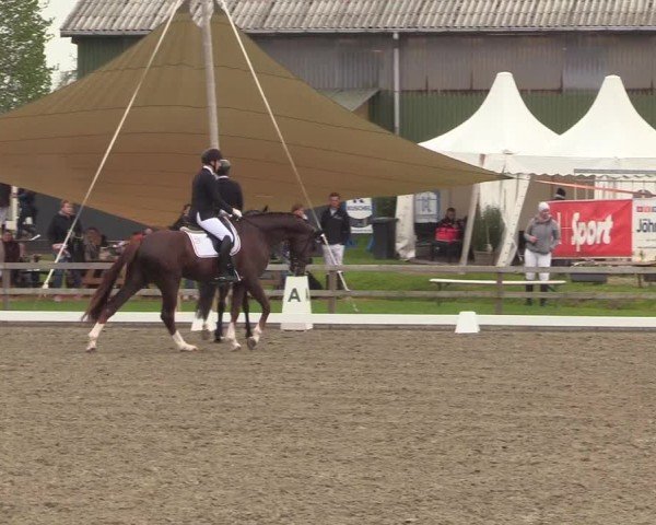 Reitturnier Kleinsolter Turniertage 2025