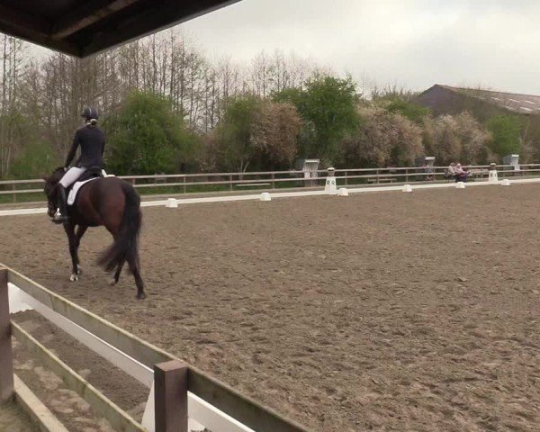 Reitturnier Kleinsolter Turniertage 2025