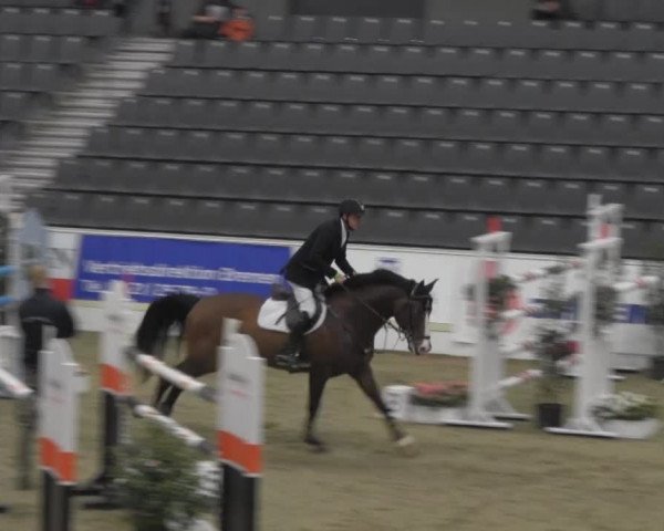 VER-Dinale 2014