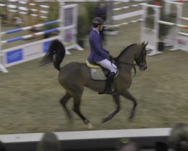 VER-Dinale 2014