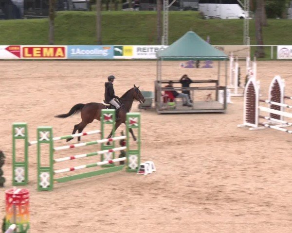 Internationales Springturnier Stadl-Paura 2025