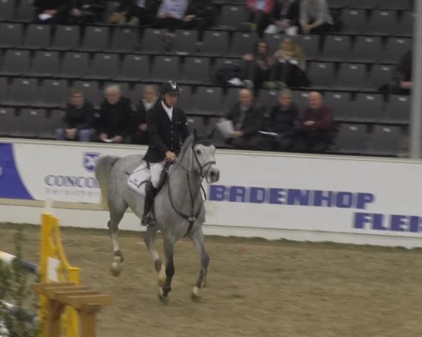 VER-Dinale 2014