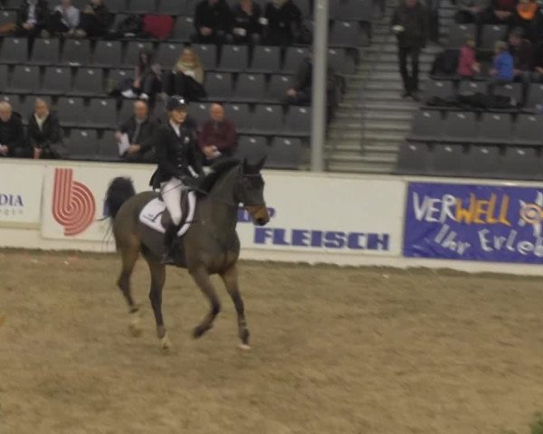 VER-Dinale 2014