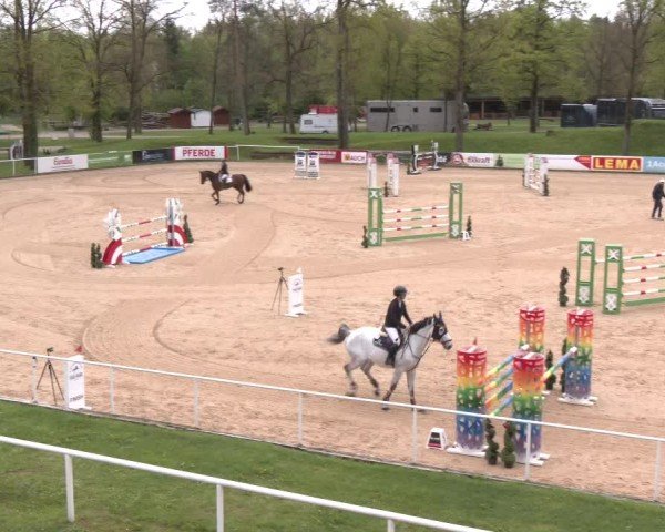 Internationales Springturnier Stadl-Paura 2025